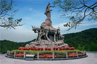 深圳全套之家,打造温馨舒适的家庭式服务 深圳全套之家,打造温馨舒适的家庭式服务